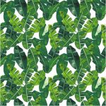 Green Palm Leaf Scarce