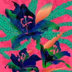 Tribal Turkish Delight