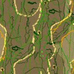 Tree Bark